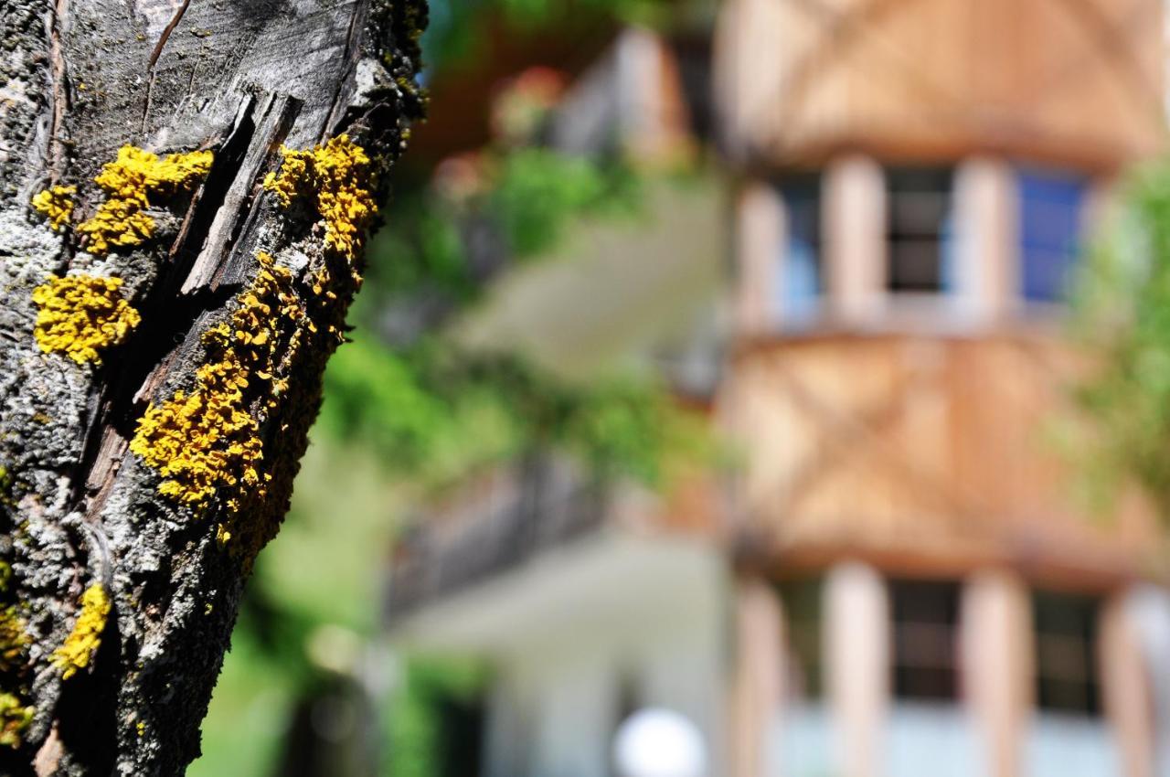 Guesthouse Rungg Badia (South Tyrol) Ngoại thất bức ảnh